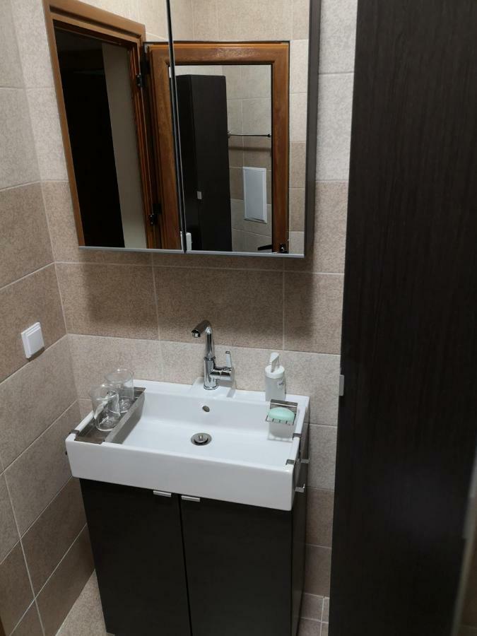 Business And Leisure In Mladost 2 With Free Garage Sofia